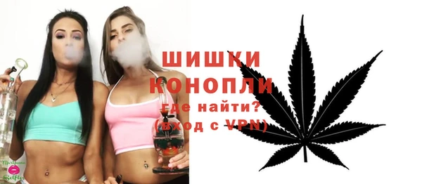 мдпв Осташков