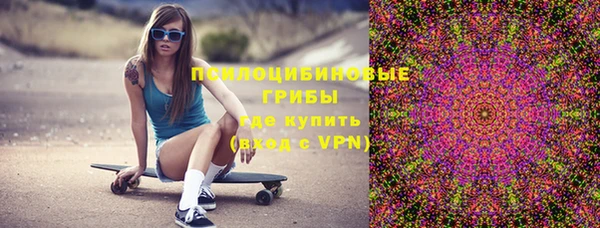 СК Осинники
