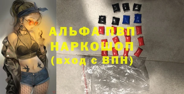 мдпв Осташков