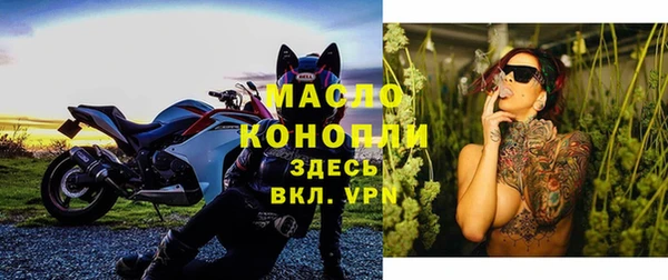 мдпв Осташков